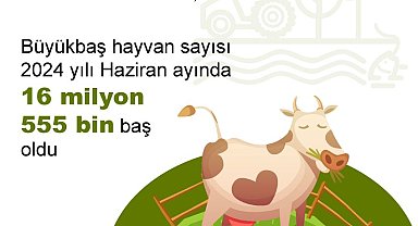 TÜİK: Büyükbaş varlığı azaldı, küçükbaş varlığı arttı