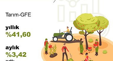 TÜİK: Tarımsal girdi fiyatları aylık yüzde 3,42, yıllık yüzde 41,60 arttı