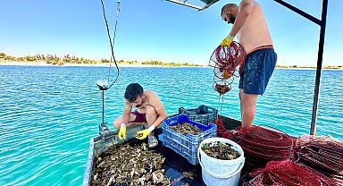 Tunceli'nin en uzak köyündeki balıkçılar, avladıkları tatlı su kerevitlerini Avrupa'ya ihraç ediyor