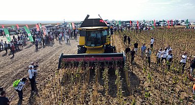 TZOB Başkanı Bayraktar: Ayçiçeğinde kuraklık desteği verilmesi son derece önemli