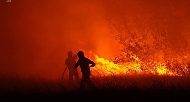 Ukrayna'da orman yangını