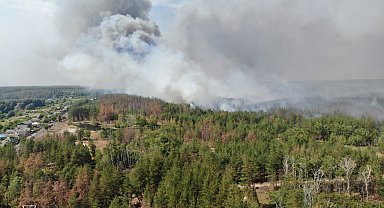 Ukrayna'da üç bölgede orman yangını