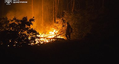 Ukrayna'nın Kramatorsk bölgesinde orman yangını