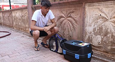 Yangından kurtuldu, aklı kedilerinde kaldı