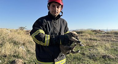 2 metre derinliğindeki yarığa düşen 2 yavru köpek kurtarıldı