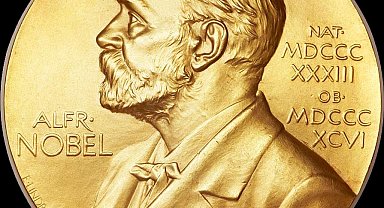 2024 Nobel Tıp Ödülü'nün sahipleri belli oldu