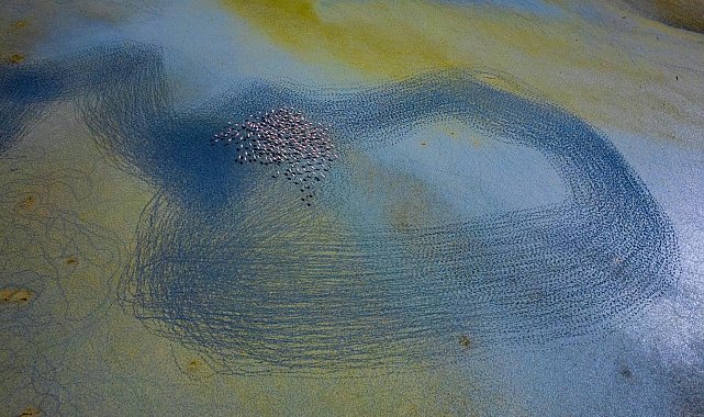 'İlk Öğretmenim Doğa' fotoğraf sergisi 23 Ekim'de açılıyor