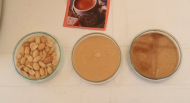 'TÜBİTAK 4007 Bağcılar Bilim Şenliği'nde öğrenciler yer fıstığından kahve yaptı