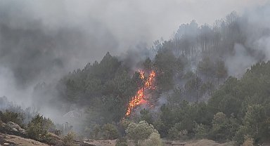 Afyon'daki orman yangını 12,5 saat sonra kontrol altına alındı