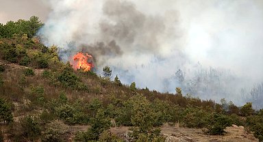 Afyonkarahisar'da orman yangını