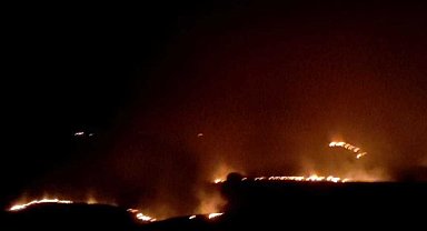 Batman'da 5 bin dönüm alanda etkili olan anız yangını 8 saatte söndürüldü