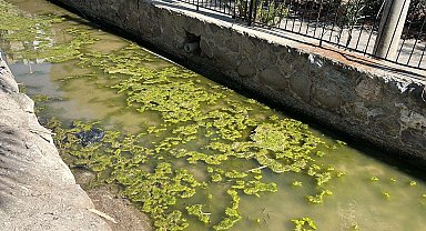 Bodrum'da iki derede kirlilik