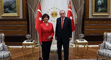 Cumhurbaşkanı Erdoğan, Koçyiğit'i kabul etti