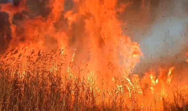 Eber Gölü'ndeki sazlık yangınına havadan müdahale