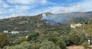 Erdek'te orman yangını 2 saatte söndürüldü; adalara elektrik verilemiyor