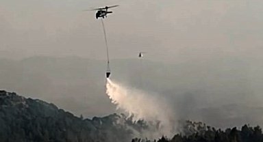 Gaziantep'te 5 ayrı noktada çıkan orman yangını 2 saatte söndürüldü