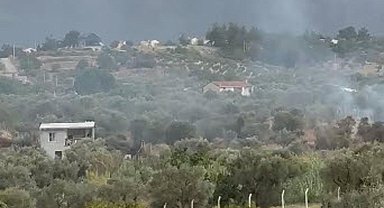 İzmir'de zeytinlikte çıkan yangın söndürüldü