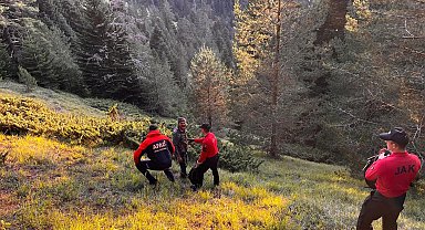 Ormana gidip, dönmeyen çifti 50 kişilik ekip arıyor
