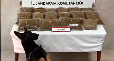 Sakarya'daki uyuşturucu operasyonlarına 3 tutuklama