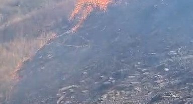 Siirt'te örtü yangını; 15 dönüm alan zarar gördü