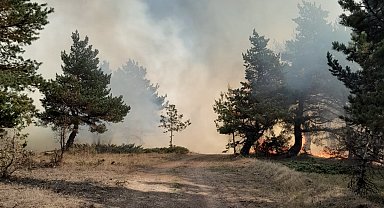 Sivas'ta orman yangını