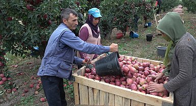Yeşilhisar elması 30'dan fazla ülkeye ihraç ediliyor