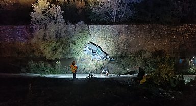 Yola çıkan köpeğe çarptıktan sonra dereye düşün otomobilin sürücüsü yaralandı