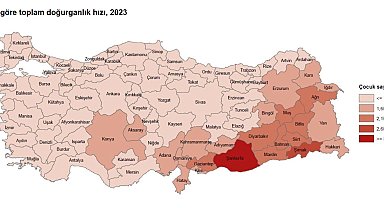 10 il, nüfusunu yenileme yeterliliğine sahip