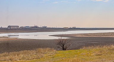 150 kuş türünün barındığı gölette su çekildi: Kurursa o kuşları da kaybederiz