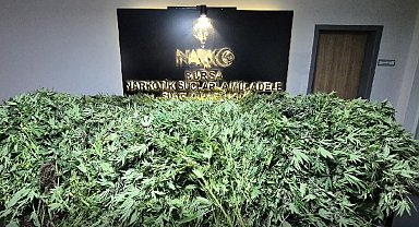 3 katlı binada kenevir yetiştirip uyuşturucu imal eden 5 kişiye gözaltı