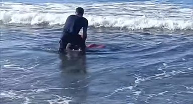 Alkol alıp denize atladı, Sahil Güvenlik ekipleri kurtardı