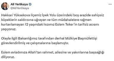 Bakan Yerlikaya'dan Hakkari'deki köpek saldırısına ilişkin açıklama