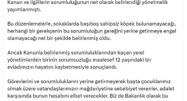 Bakan Yumaklı'dan Hakkari'deki köpek saldırısına ilişkin açıklama