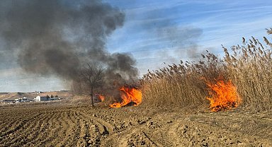 Batman'da sazlık yangını söndürüldü