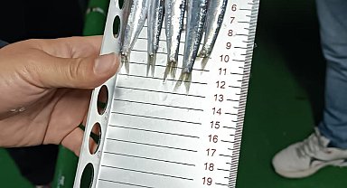 Bodrum'da hamsi avına çıkanlara yönelik denetim gerçekleştirdi