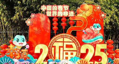 Çin'den Bahar Bayramı mesajı