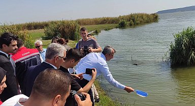 Edirne'de 2024 yılında 10 milyon sazan balığı yavrusu üretildi