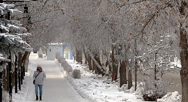 Erzurum'da soğuk hava etkili oluyor