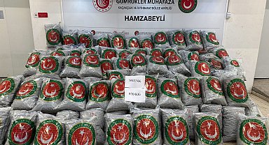Hamzabeyli'den giriş yapan TIR'da 870 kilo skunk ele geçirildi