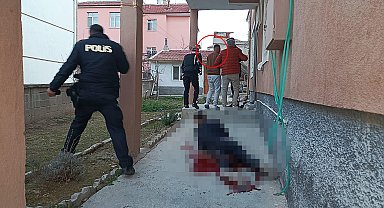 Hastane müdürünü ilişki iddiasıyla vurmuş