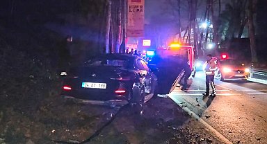 İstanbul - Sürücüsünün kontrolünden çıkan otomobil direğe çarpıp, ormana girdi: 1 yaralı