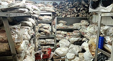 İzmir'de 3,8 ton bozuk et ve balık ele geçirildi