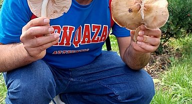 İzmir'de yeni mantar türü keşfedildi