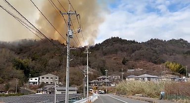 Japonya'da orman yangını