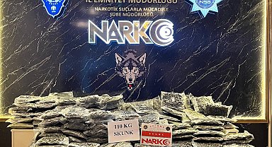 Kapıkule Sınır Kapısından yurda giriş yapan iki TIR'da 30 milyon lira değerinde uyuşturucu ele geçirildi