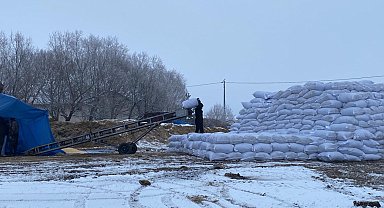 Köyüne kurduğu mısır silajı paketleme tesisiyle bölgenin ihtiyacını karşılıyor
