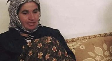 Mardin'de cipin çarptığı kadın, öldü