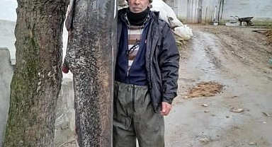 Meriç Nehri'nde 2.5 metre boyunda 'yayın balığı' yakaladı