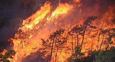 Muğla'da orman yangınlarının yüzde 59'u insan kaynaklı