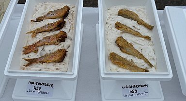 Ordu'da bin 301 çeşit dondurma ile Guinness rekoru kırıldı